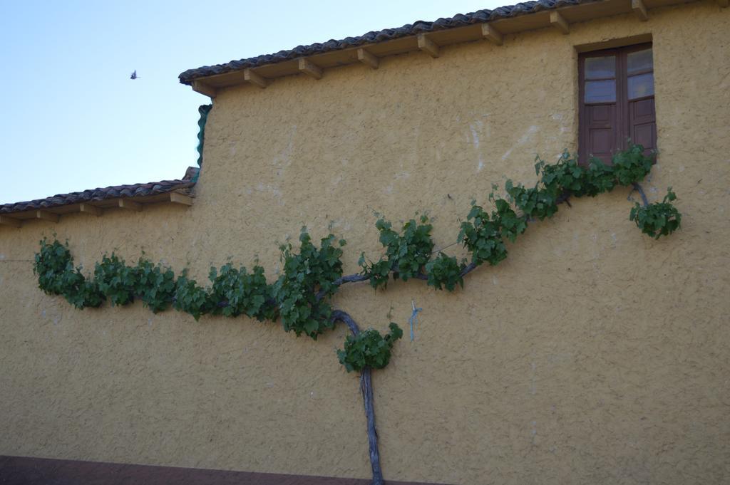 Casa Rural Los Llaganos Villaturiel Exterior photo